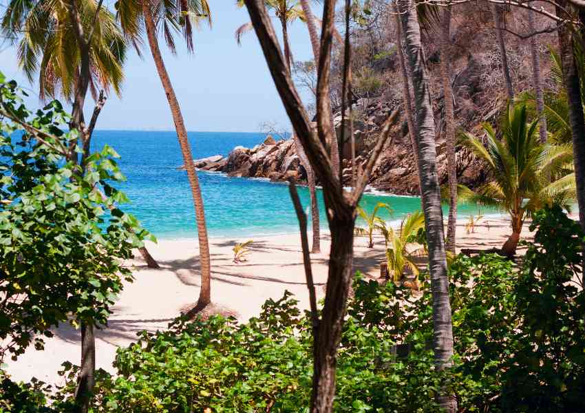 Day Trips from Puerto Vallarta