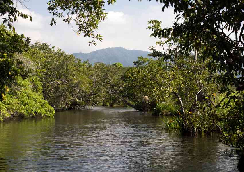 Day Trips from Puerto Vallarta