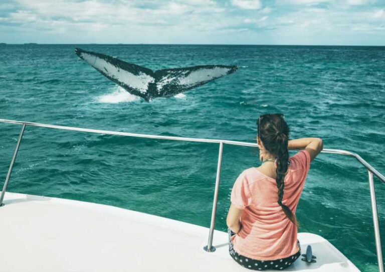 Where to See Whales in Mexico: 10 Incredible Destinations for Whale Watching in Mexico