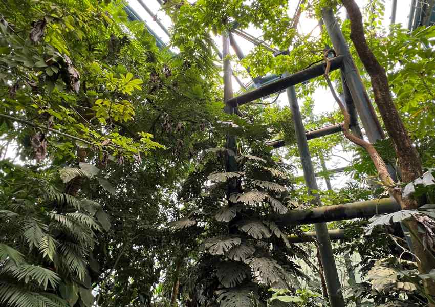 best parks in mexico city