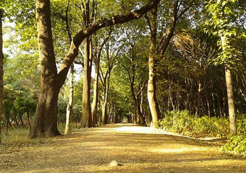 best parks in mexico city