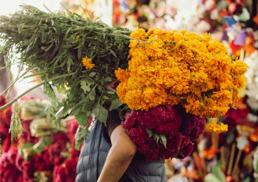 mexico city markets