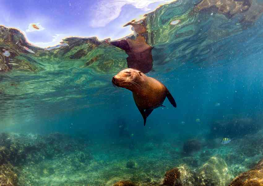 things to do in la paz baja california