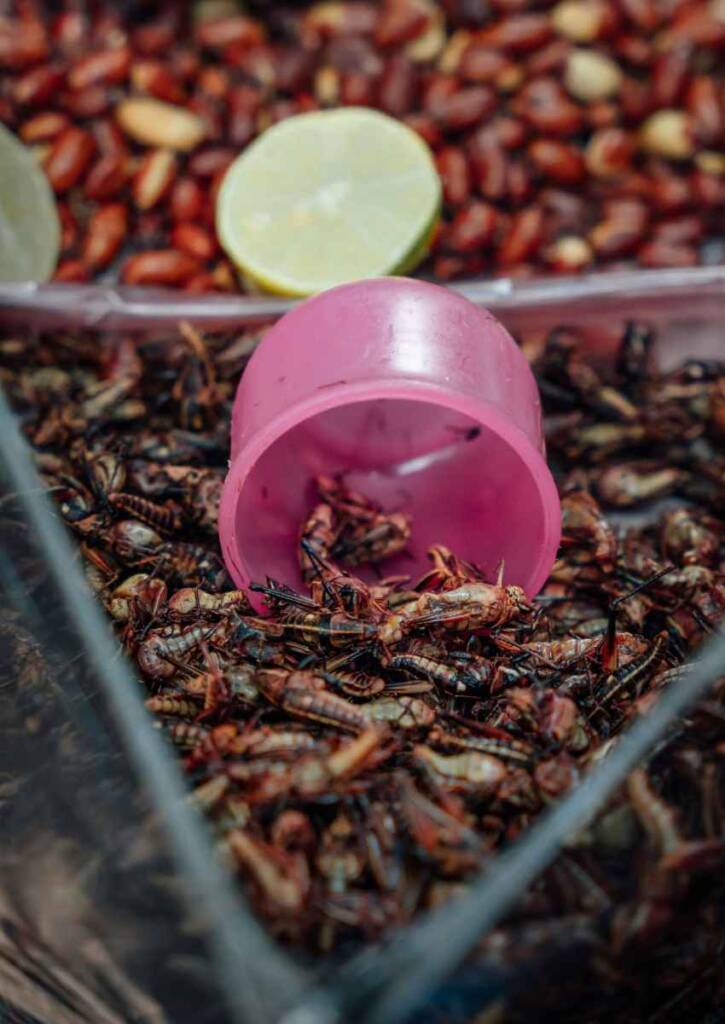 central de abastos tour in mexico city