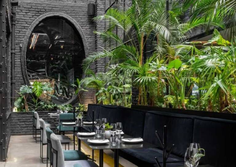 Where to Dine in Mexico City