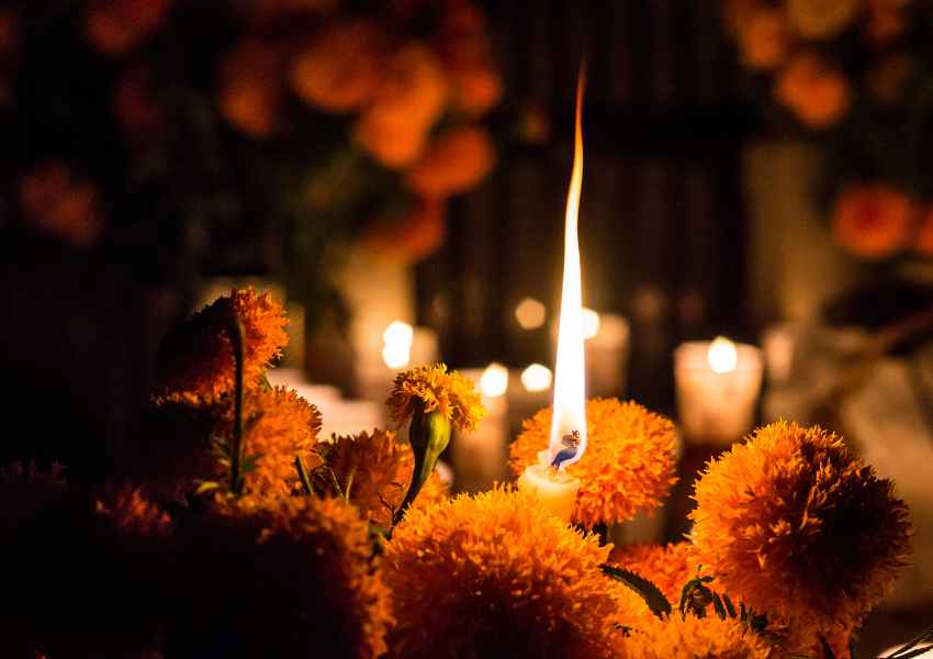 dia de los muertos in oaxaca