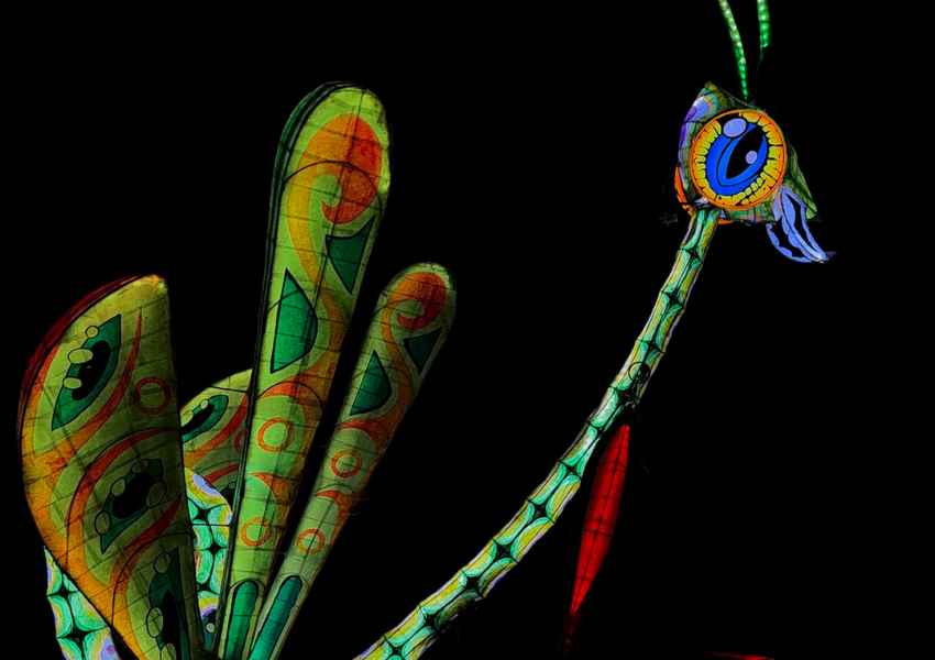 dia de los muertos in oaxaca