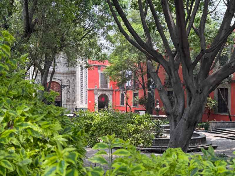 things to do centro mexico city